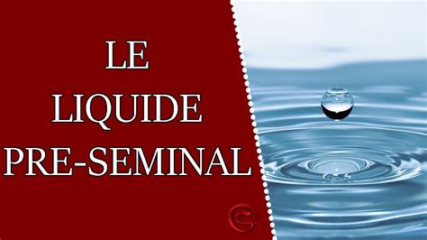 liquide séminal rôle|Liquide séminal, liquide pré